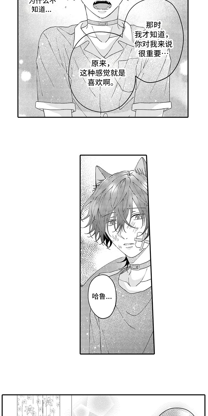 《猫咪之家》第20章求救 第12页