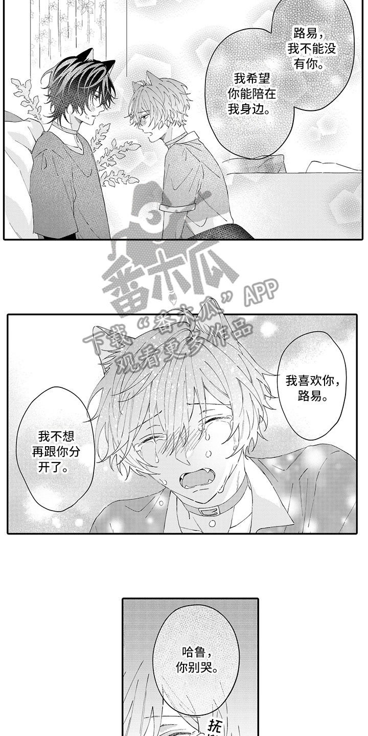 《猫咪之家》第20章求救 第13页