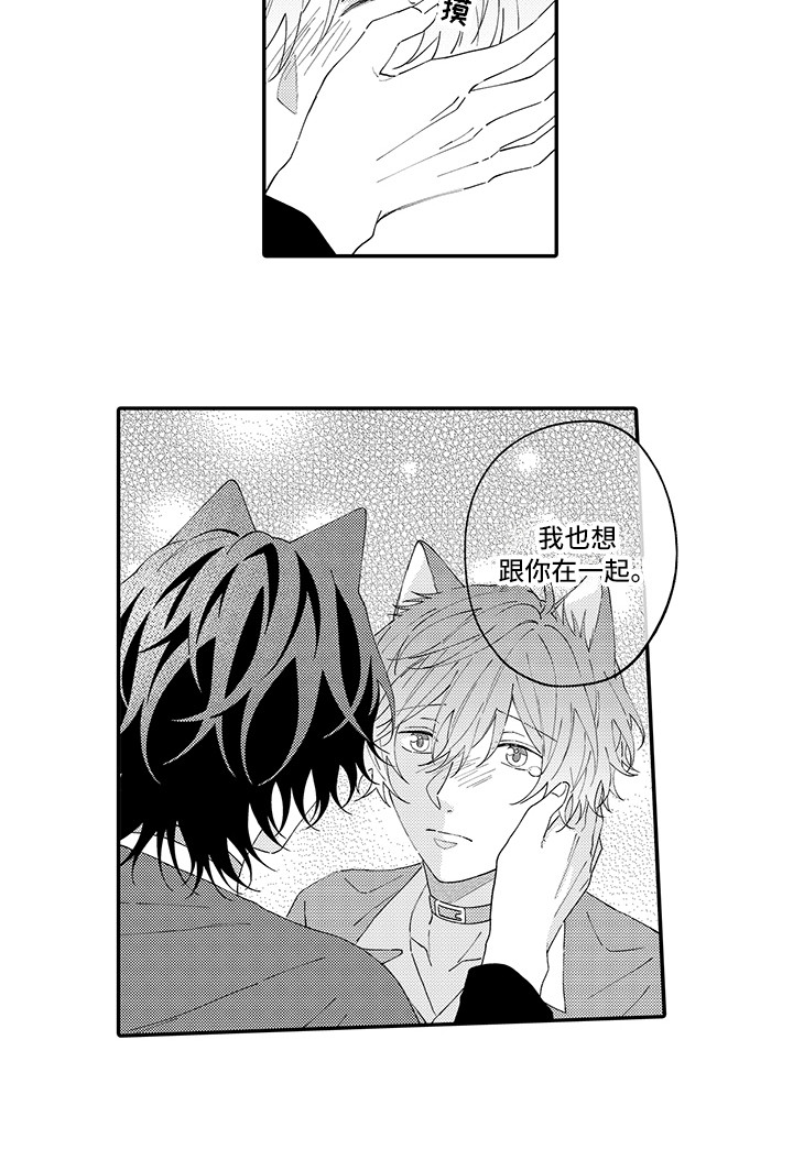 《猫咪之家》第20章求救 第14页