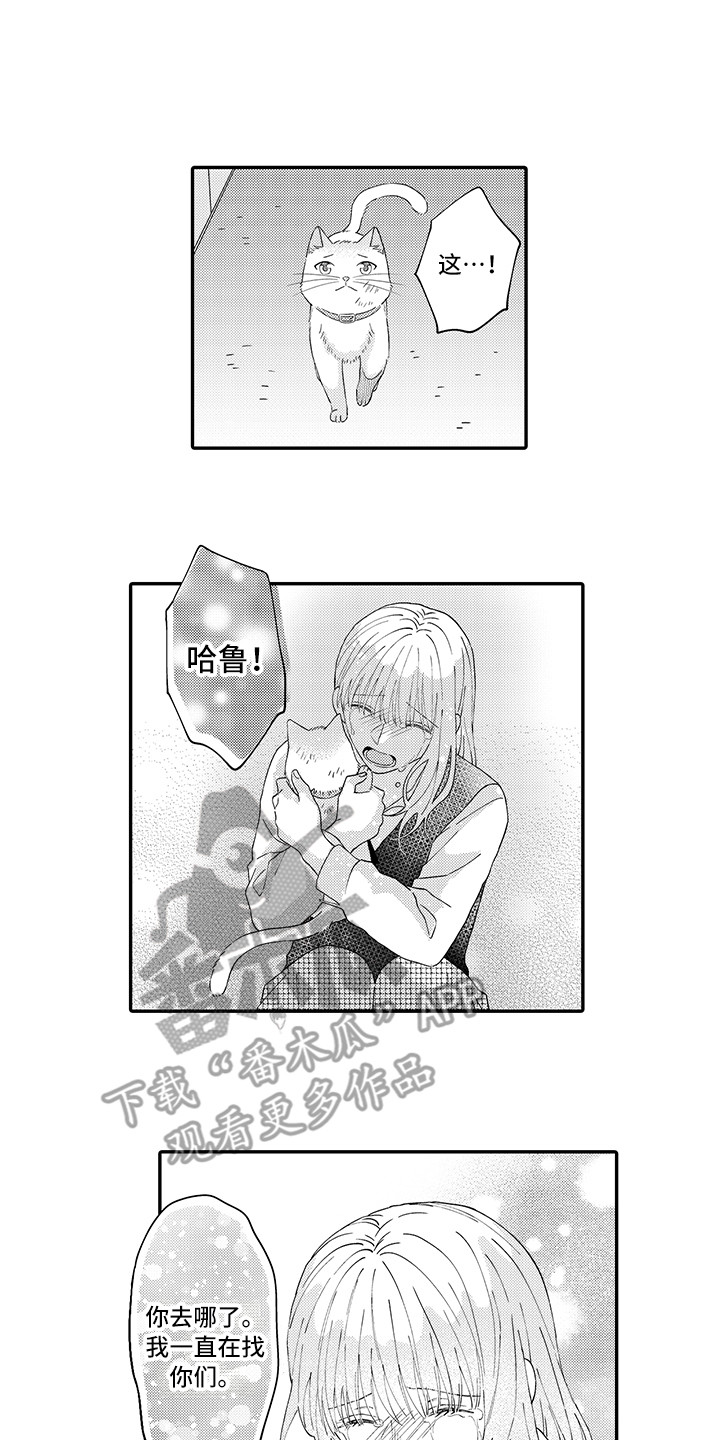 《猫咪之家》第20章求救 第1页