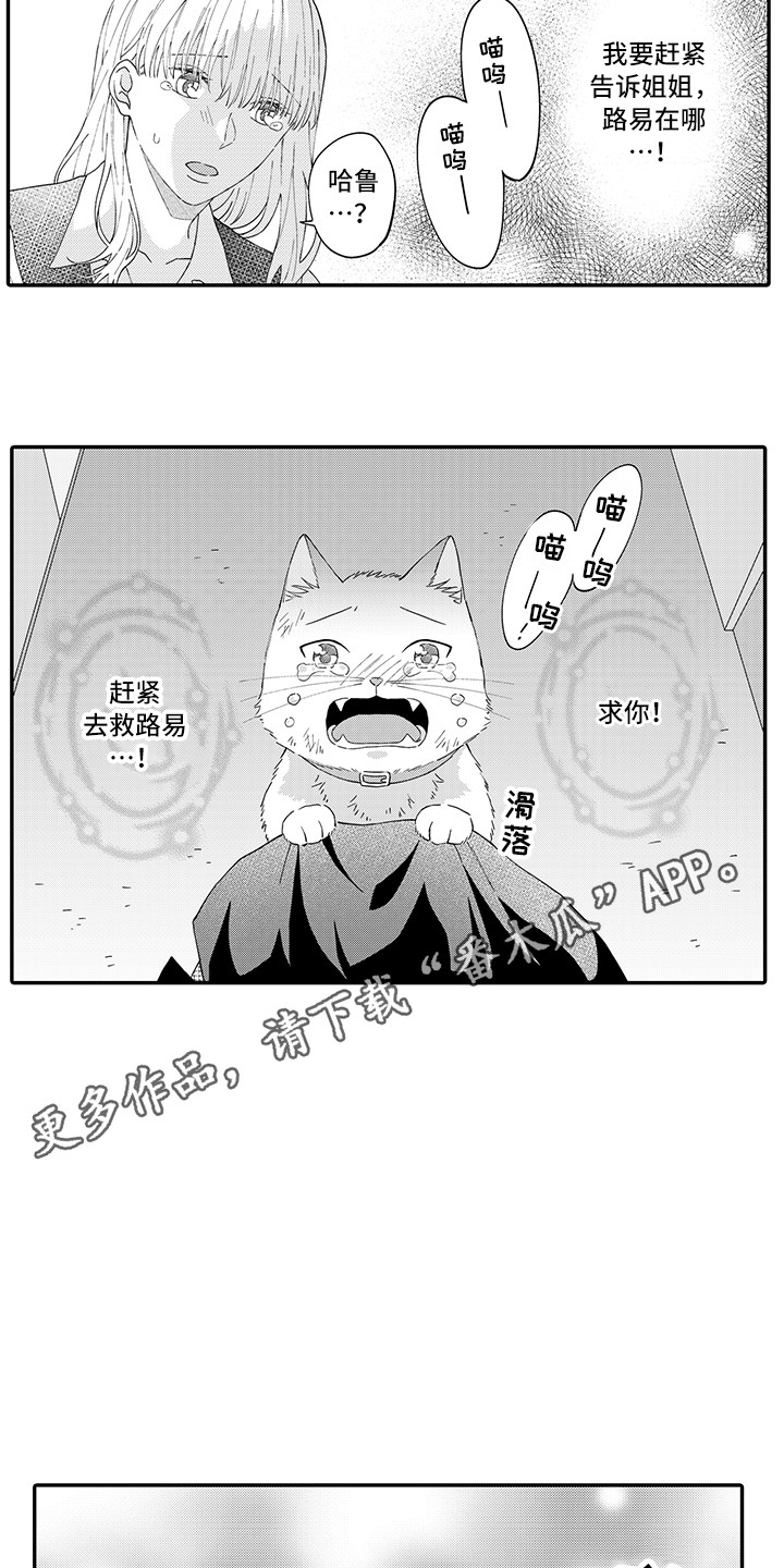 《猫咪之家》第20章求救 第3页