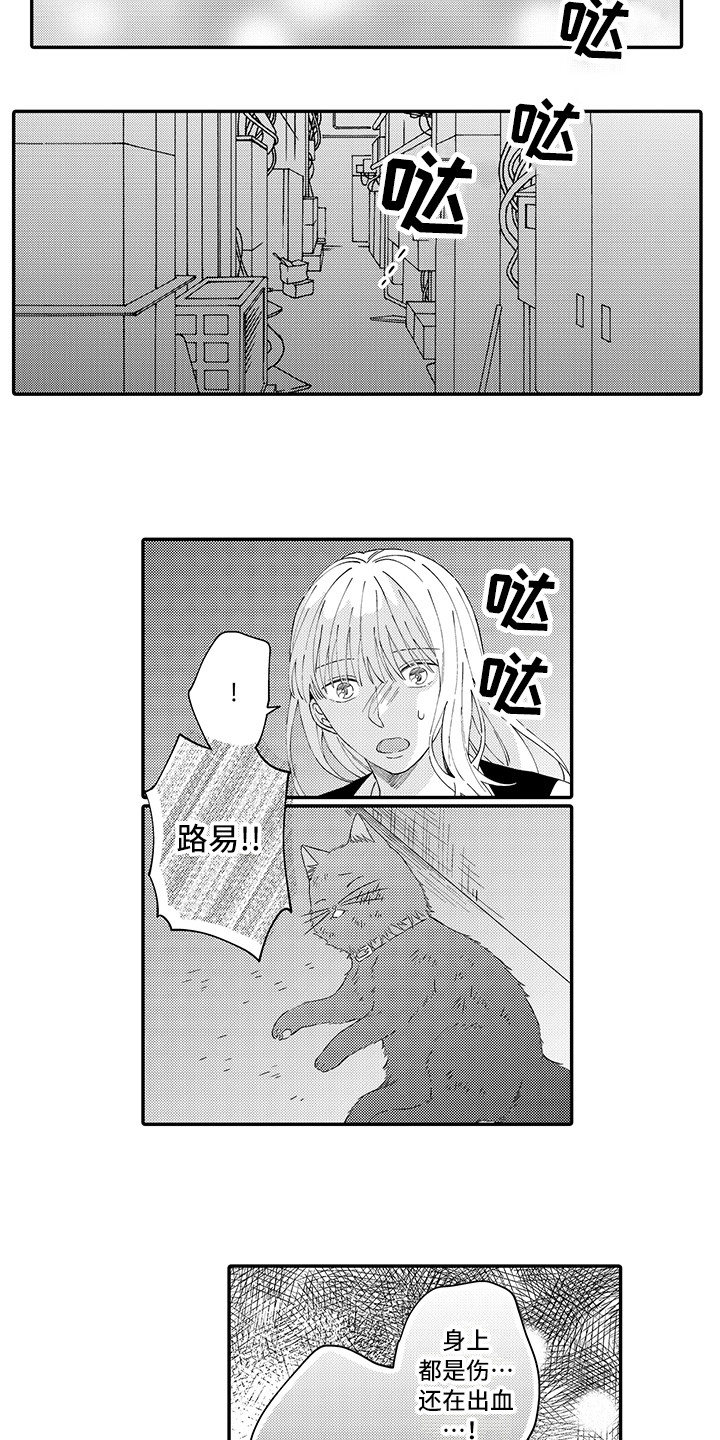 《猫咪之家》第20章求救 第4页