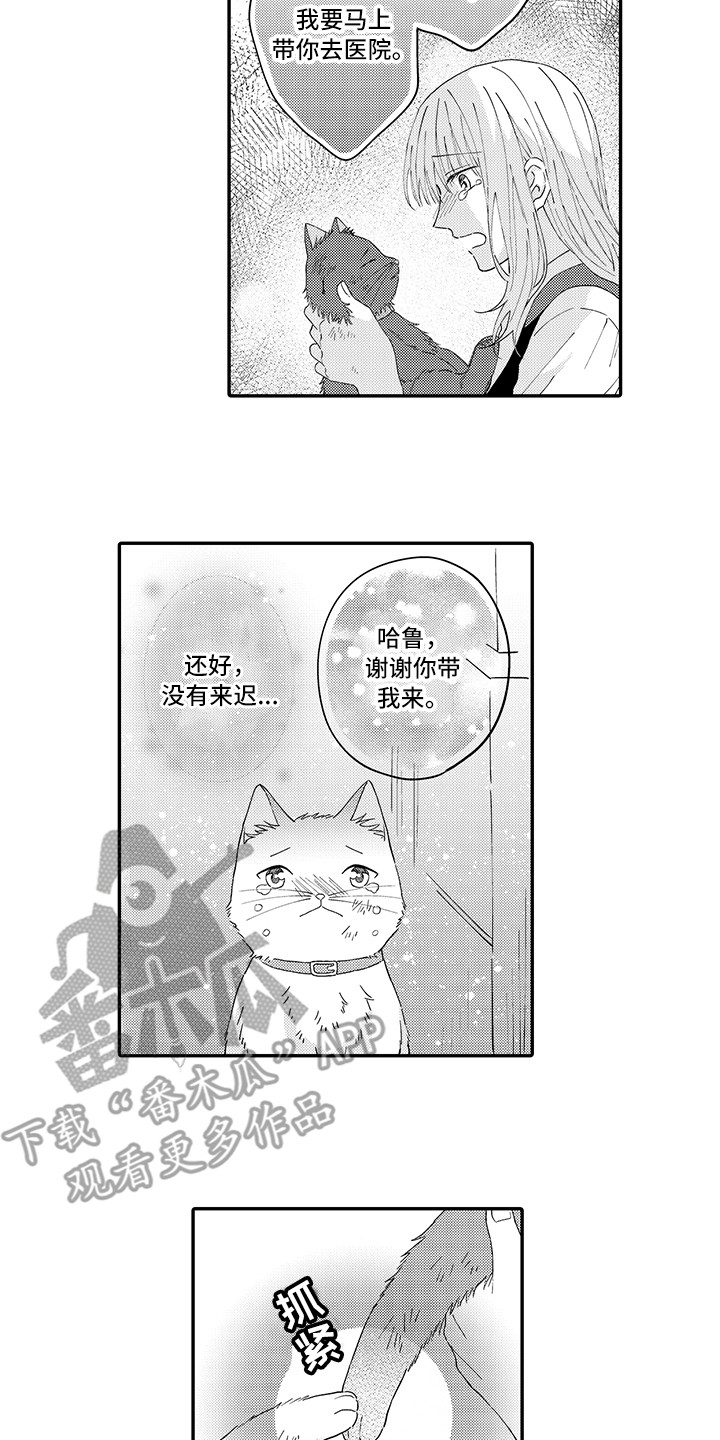 《猫咪之家》第20章求救 第5页