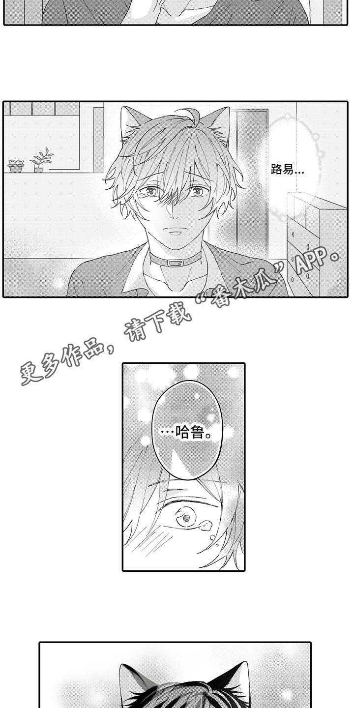 《猫咪之家》第20章求救 第7页
