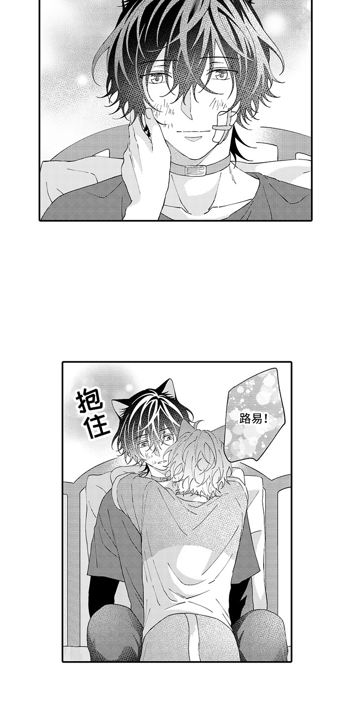 《猫咪之家》第20章求救 第8页