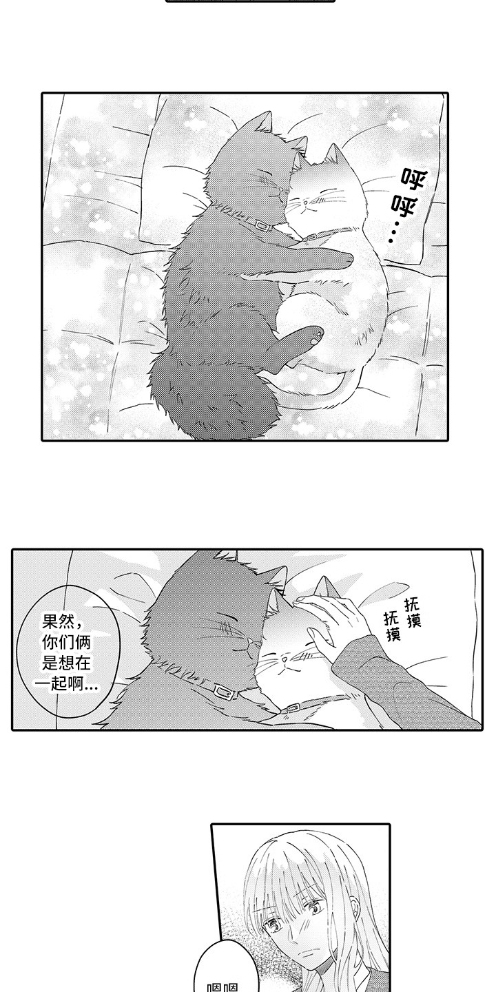 《猫咪之家》第21章下决心 第12页