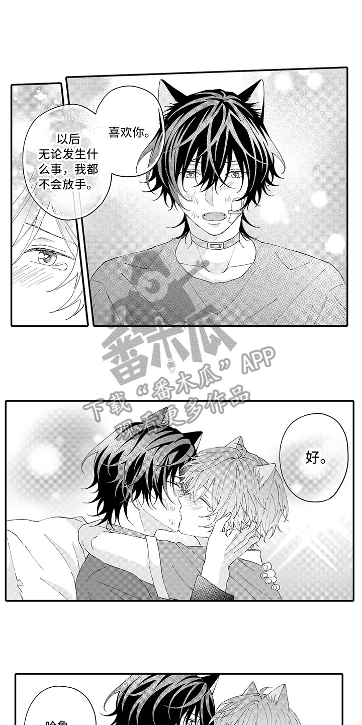 《猫咪之家》第21章下决心 第1页