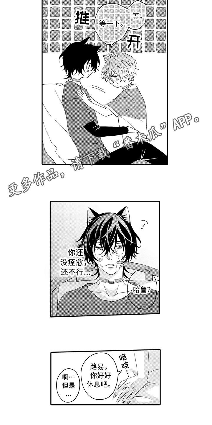 《猫咪之家》第21章下决心 第3页