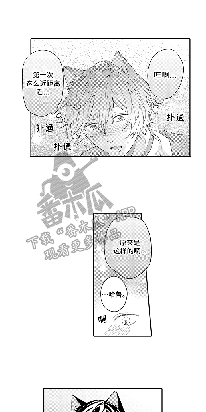 《猫咪之家》第21章下决心 第5页