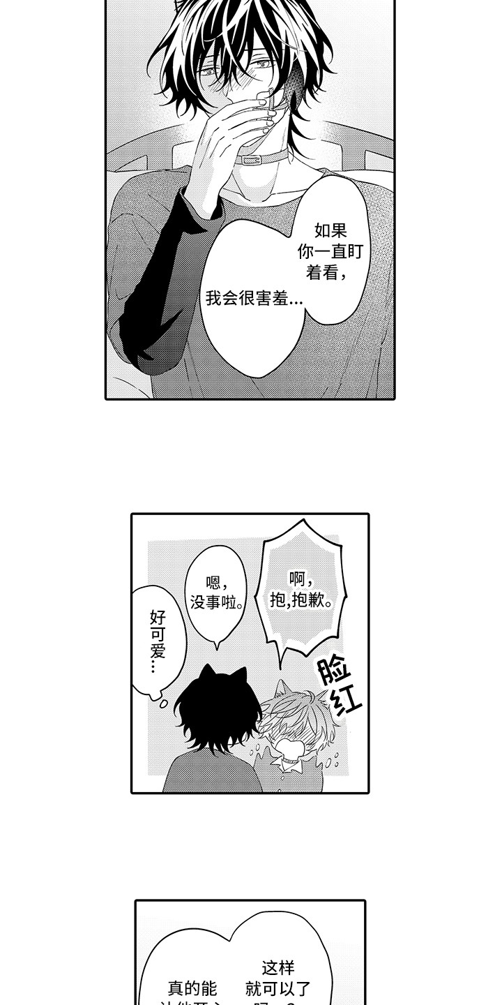 《猫咪之家》第21章下决心 第6页
