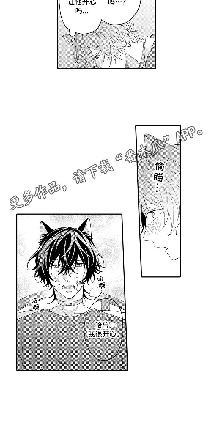 《猫咪之家》第21章下决心 第7页