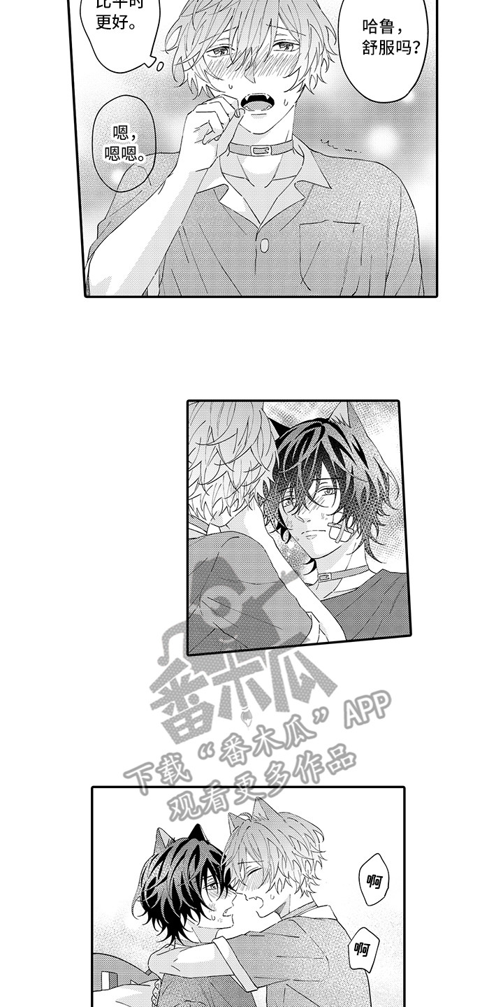 《猫咪之家》第21章下决心 第9页
