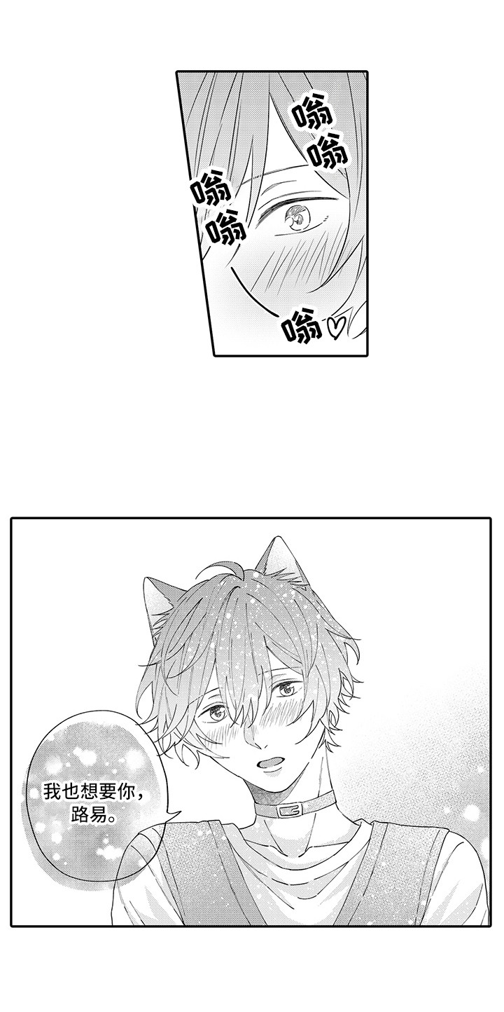 《猫咪之家》第23章嫉妒 第14页