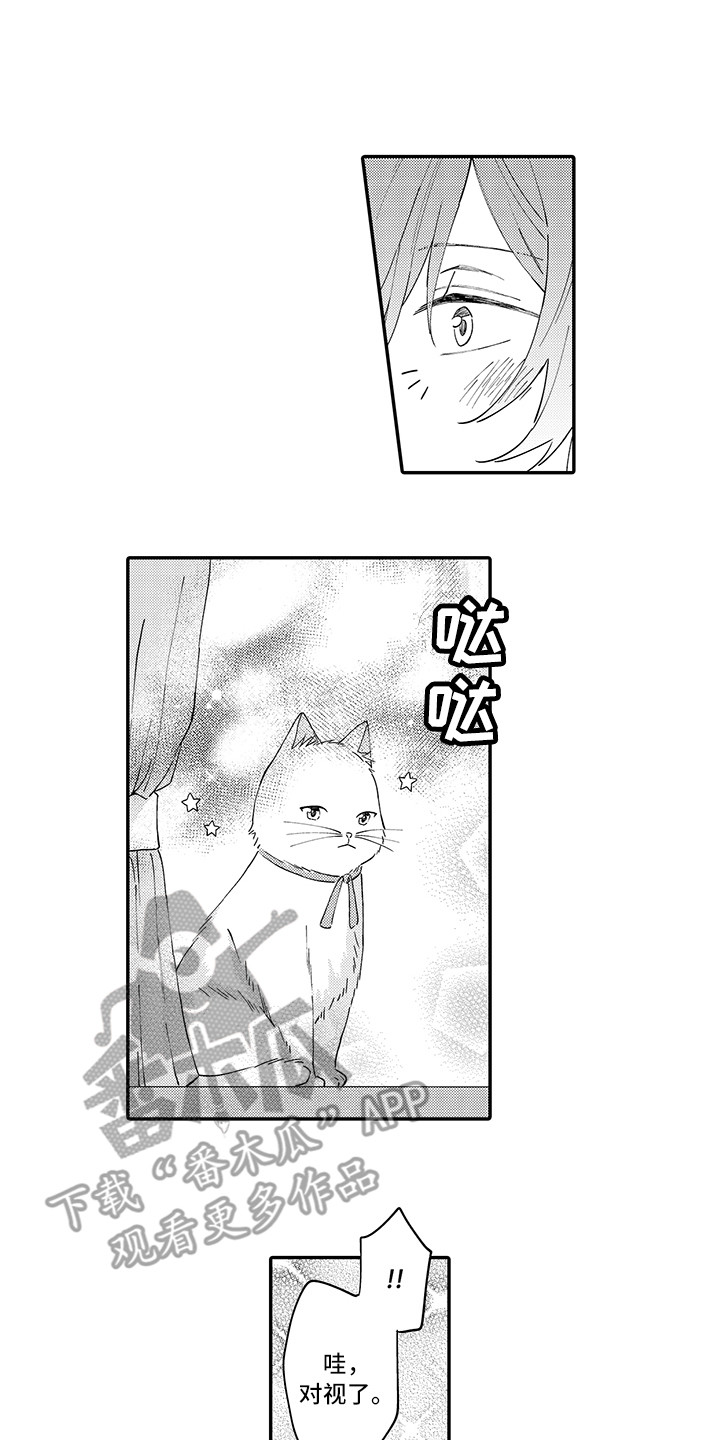 《猫咪之家》第23章嫉妒 第1页