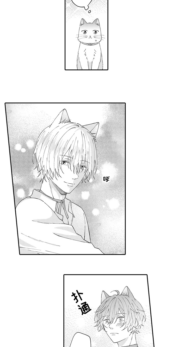 《猫咪之家》第23章嫉妒 第2页