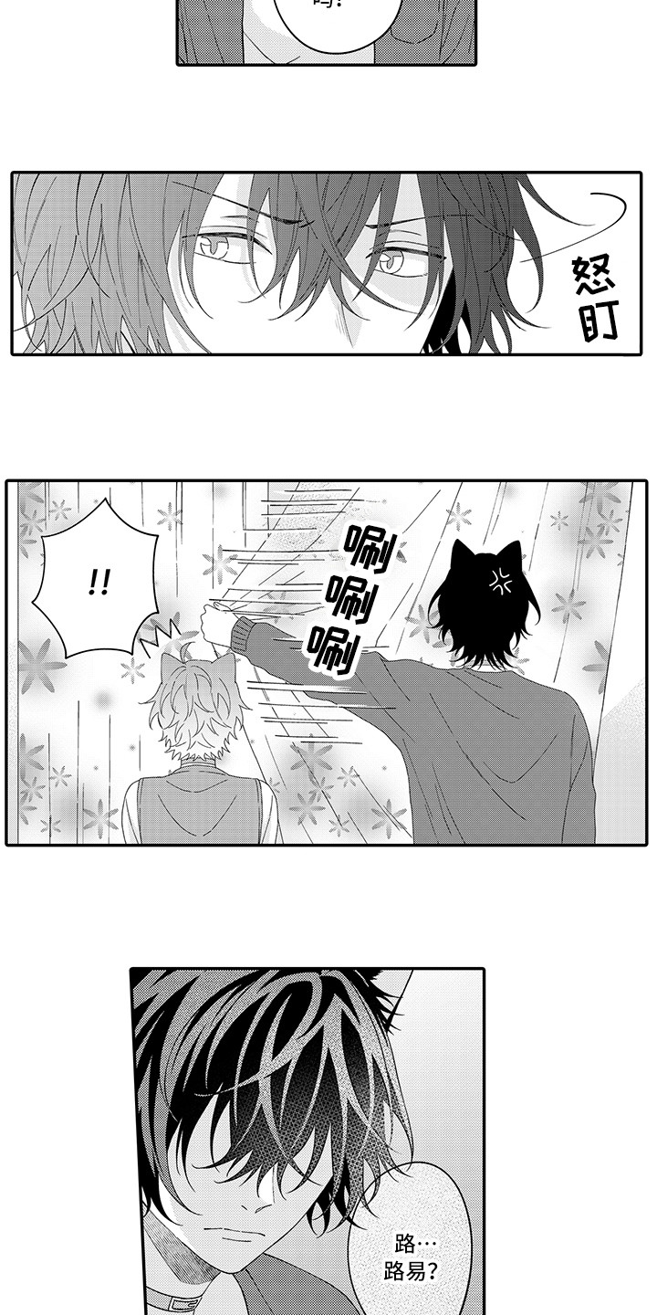 《猫咪之家》第23章嫉妒 第4页