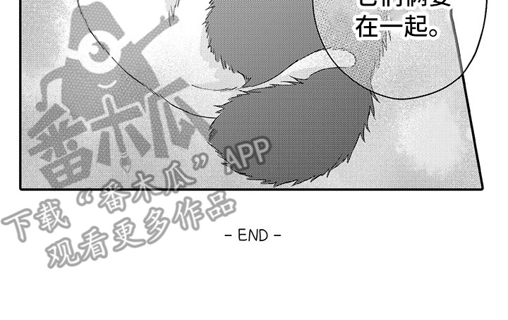 《猫咪之家》第24章在一起（完结） 第13页