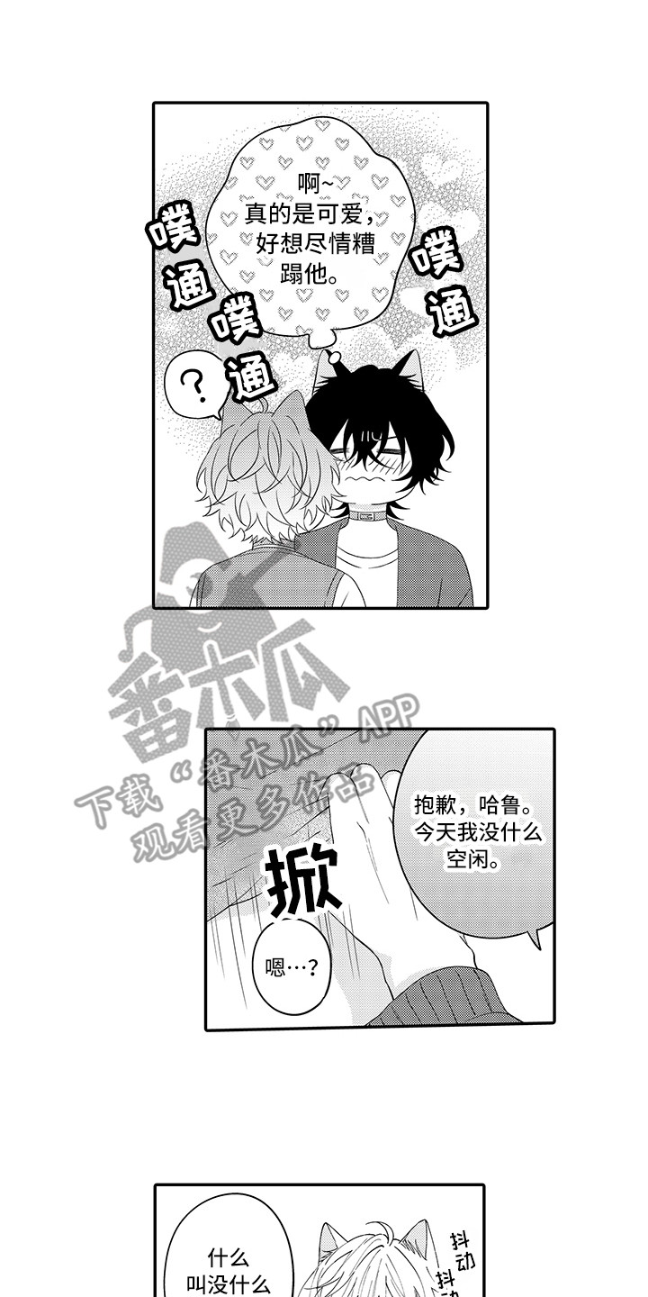 《猫咪之家》第24章在一起（完结） 第1页