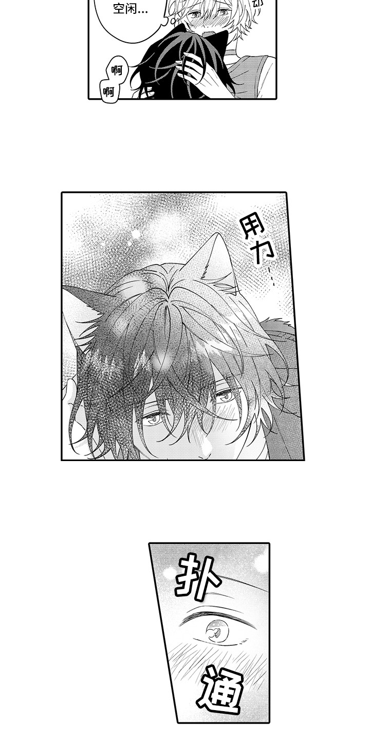 《猫咪之家》第24章在一起（完结） 第2页