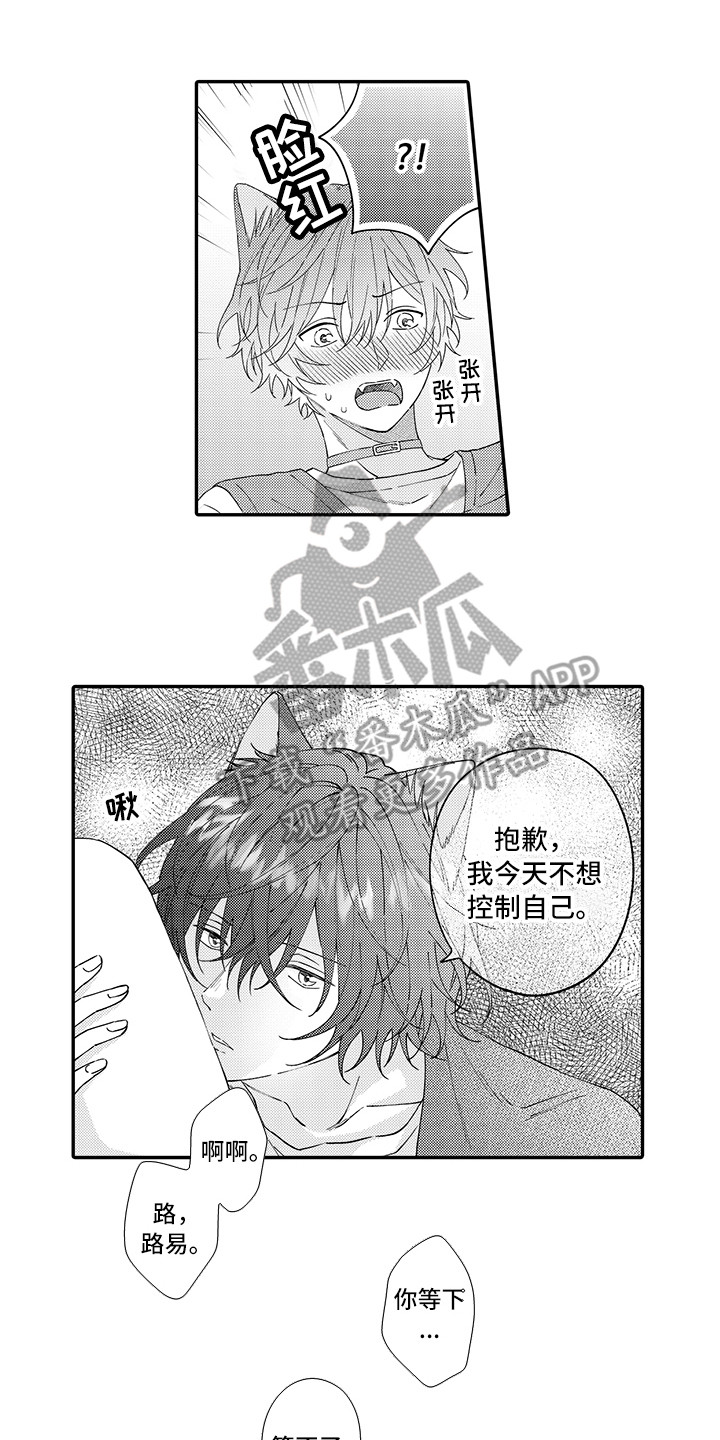《猫咪之家》第24章在一起（完结） 第5页