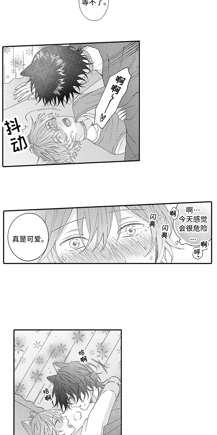 《猫咪之家》第24章在一起（完结） 第6页