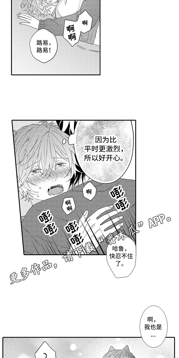 《猫咪之家》第24章在一起（完结） 第7页