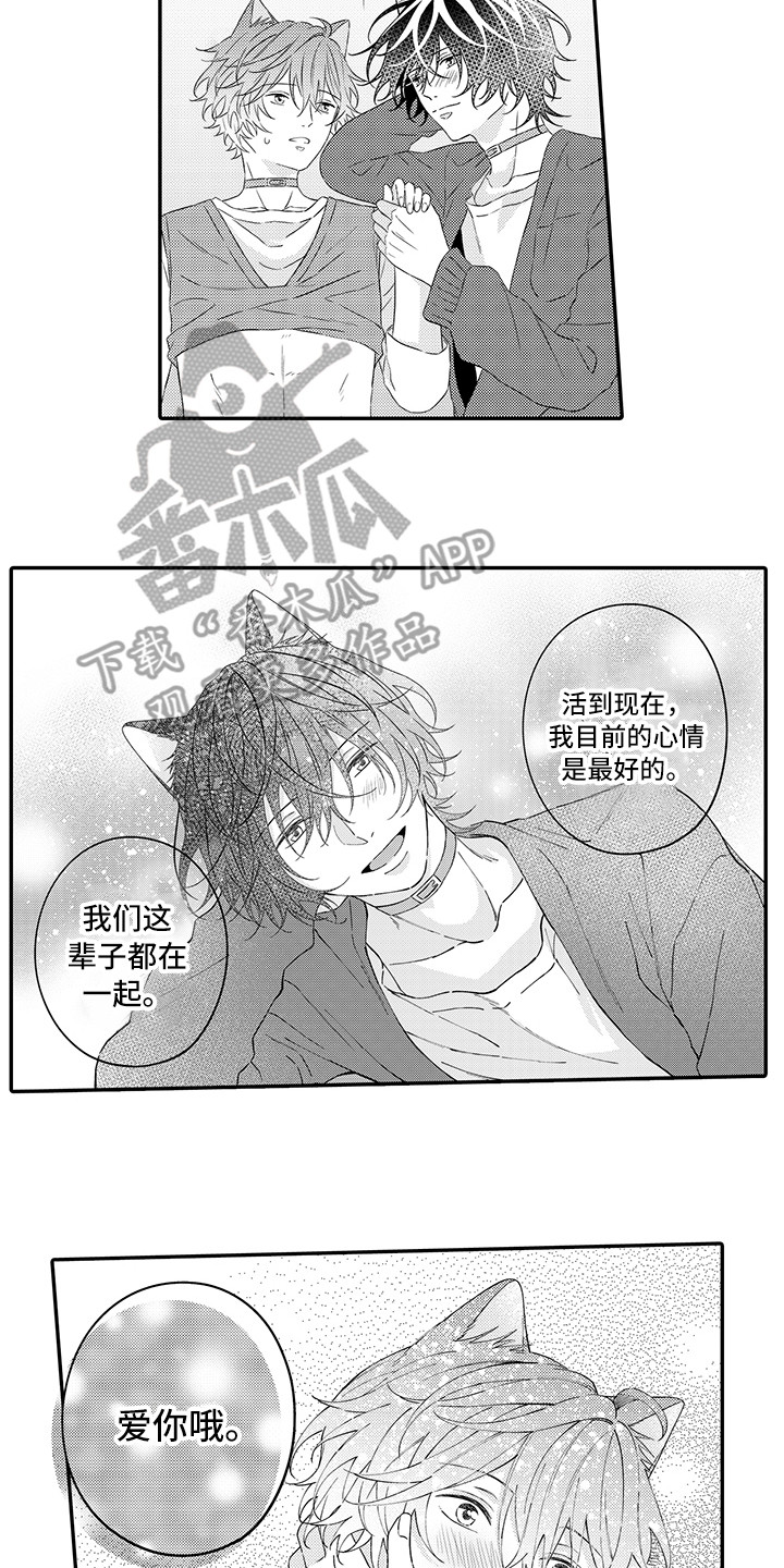 《猫咪之家》第24章在一起（完结） 第9页