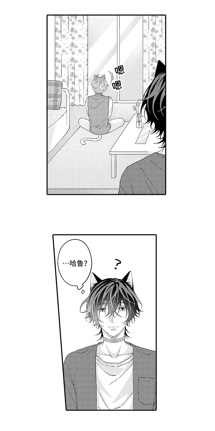 《猫咪之家》第22章新家 第10页