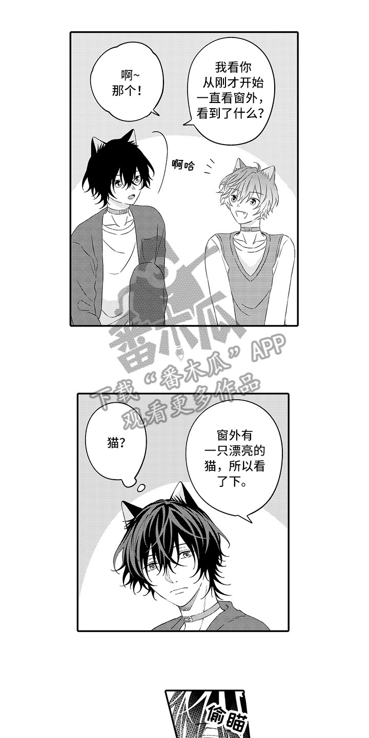 《猫咪之家》第22章新家 第11页