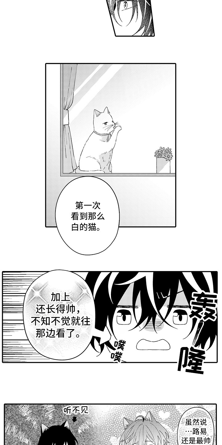 《猫咪之家》第22章新家 第12页