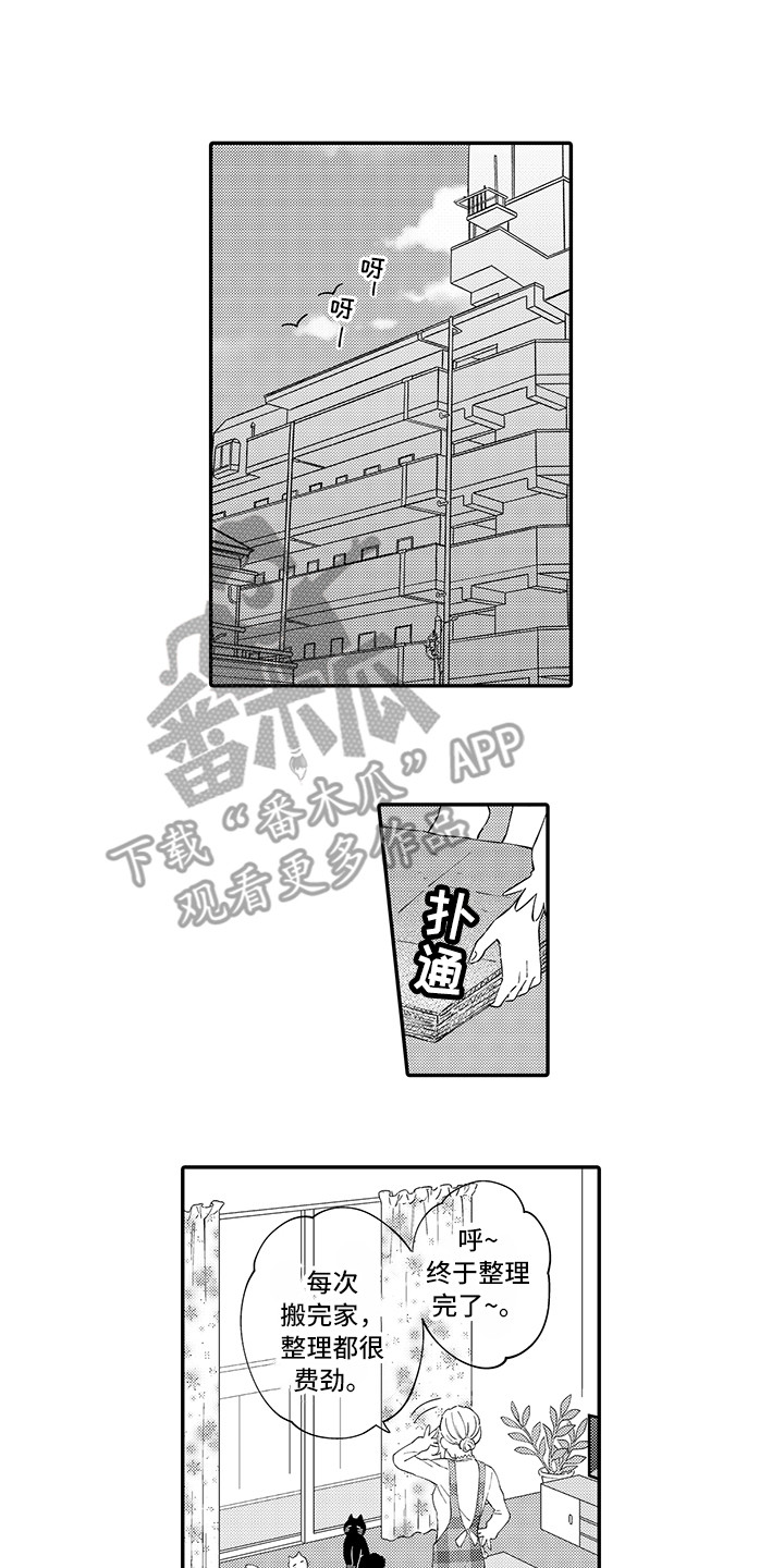 《猫咪之家》第22章新家 第1页