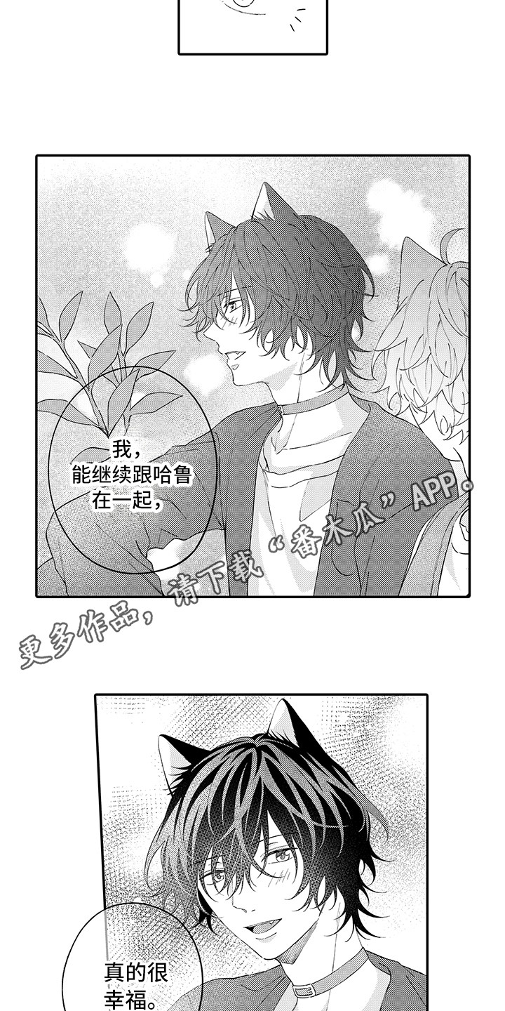 《猫咪之家》第22章新家 第3页