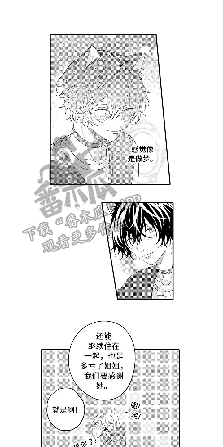 《猫咪之家》第22章新家 第5页