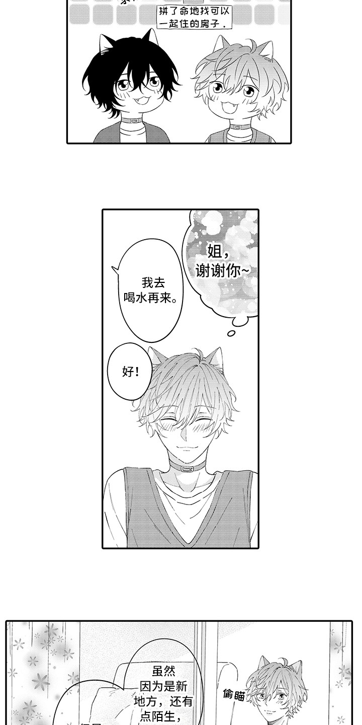 《猫咪之家》第22章新家 第6页