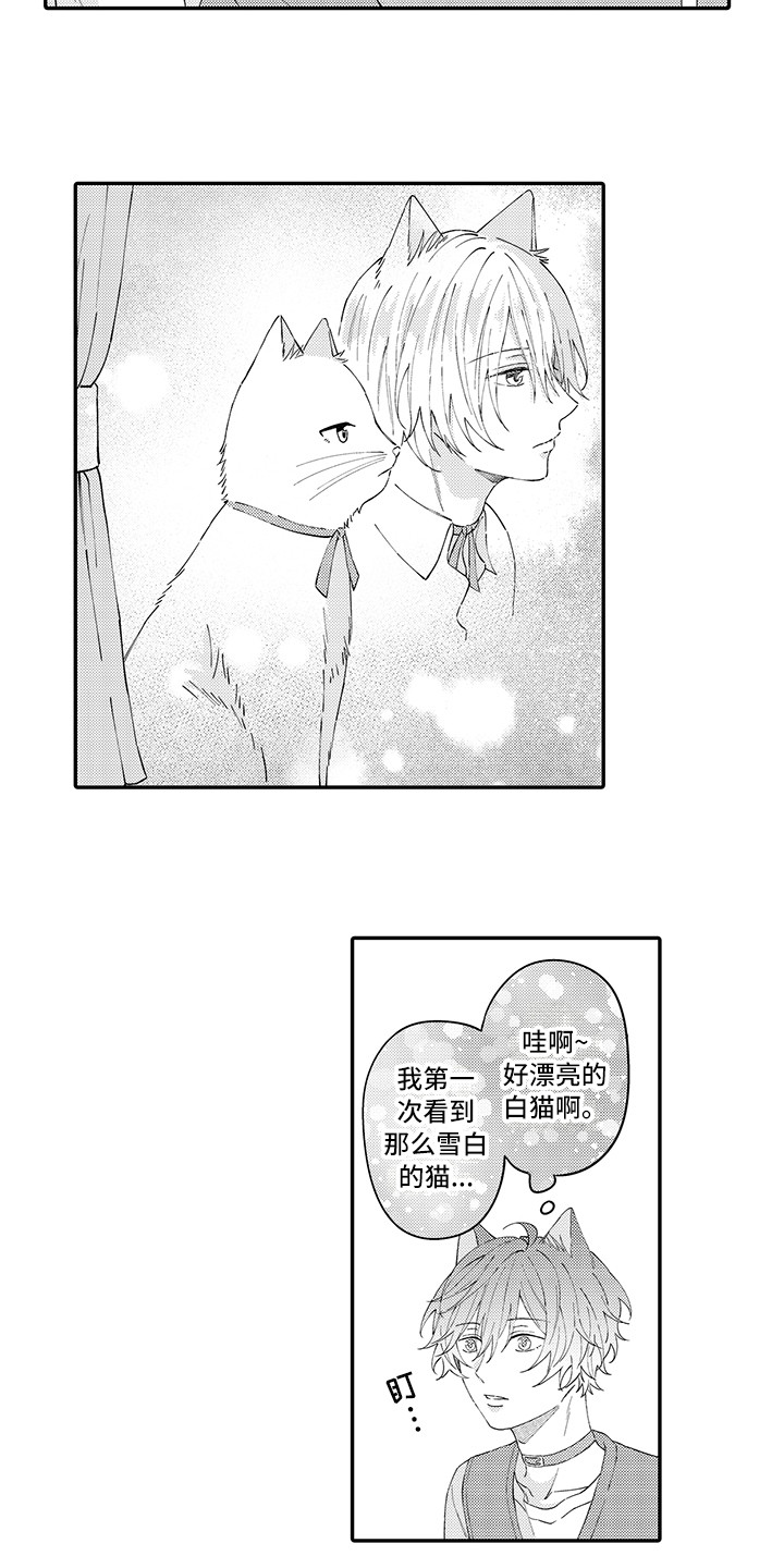 《猫咪之家》第22章新家 第8页