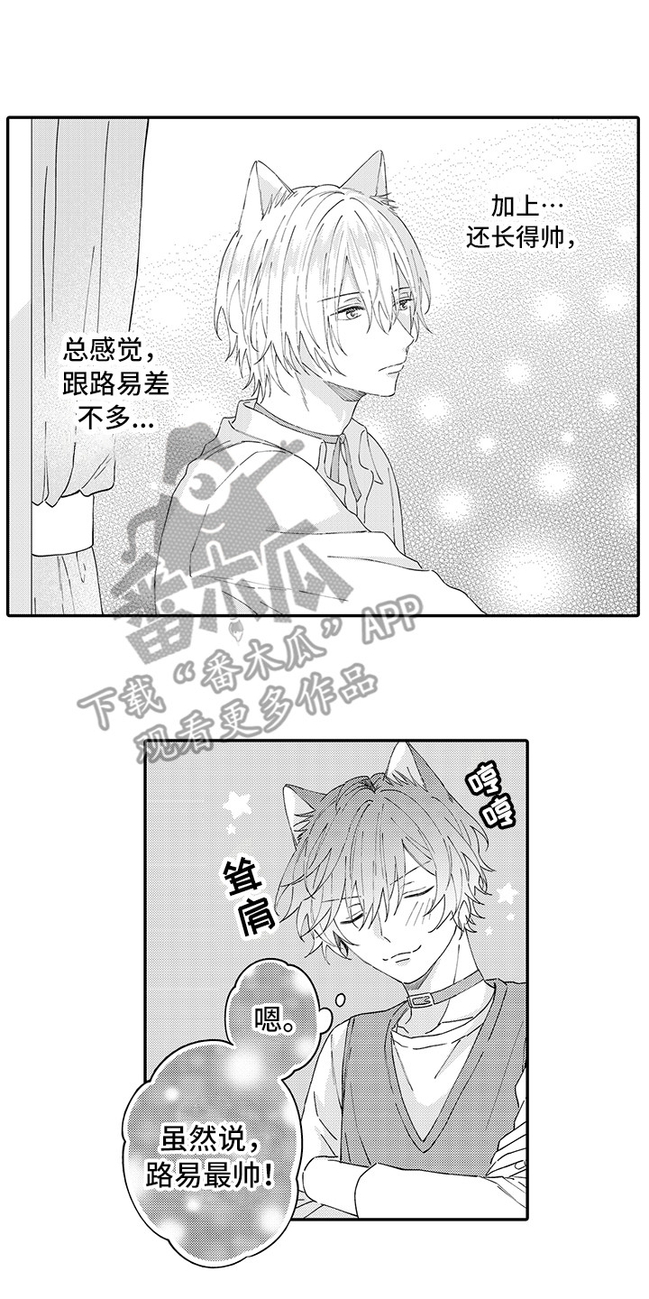 《猫咪之家》第22章新家 第9页