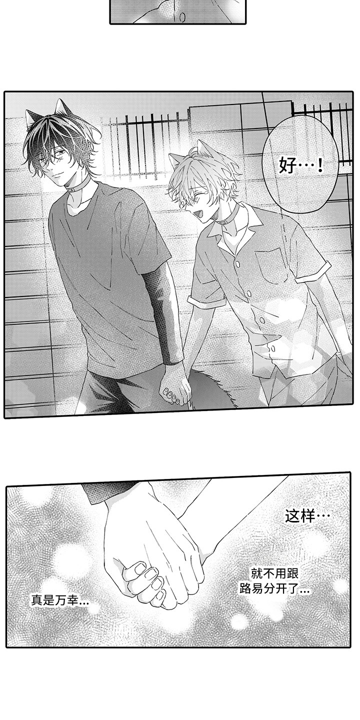 《猫咪之家》第16章私奔 第10页