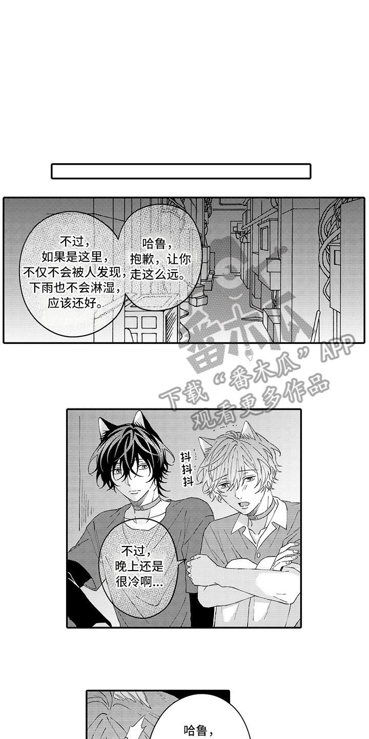 《猫咪之家》第16章私奔 第11页