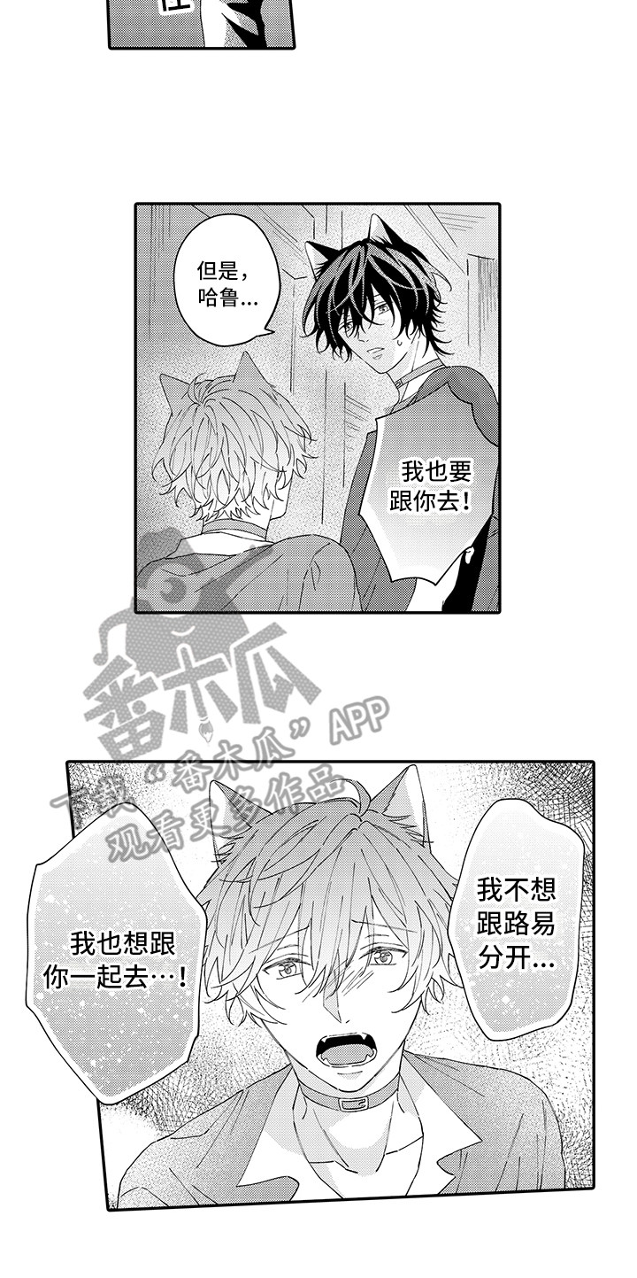 《猫咪之家》第16章私奔 第13页