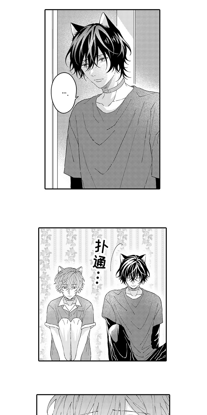 《猫咪之家》第16章私奔 第2页