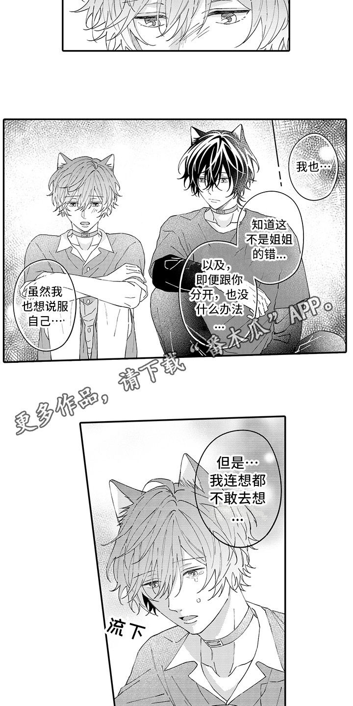 《猫咪之家》第16章私奔 第3页