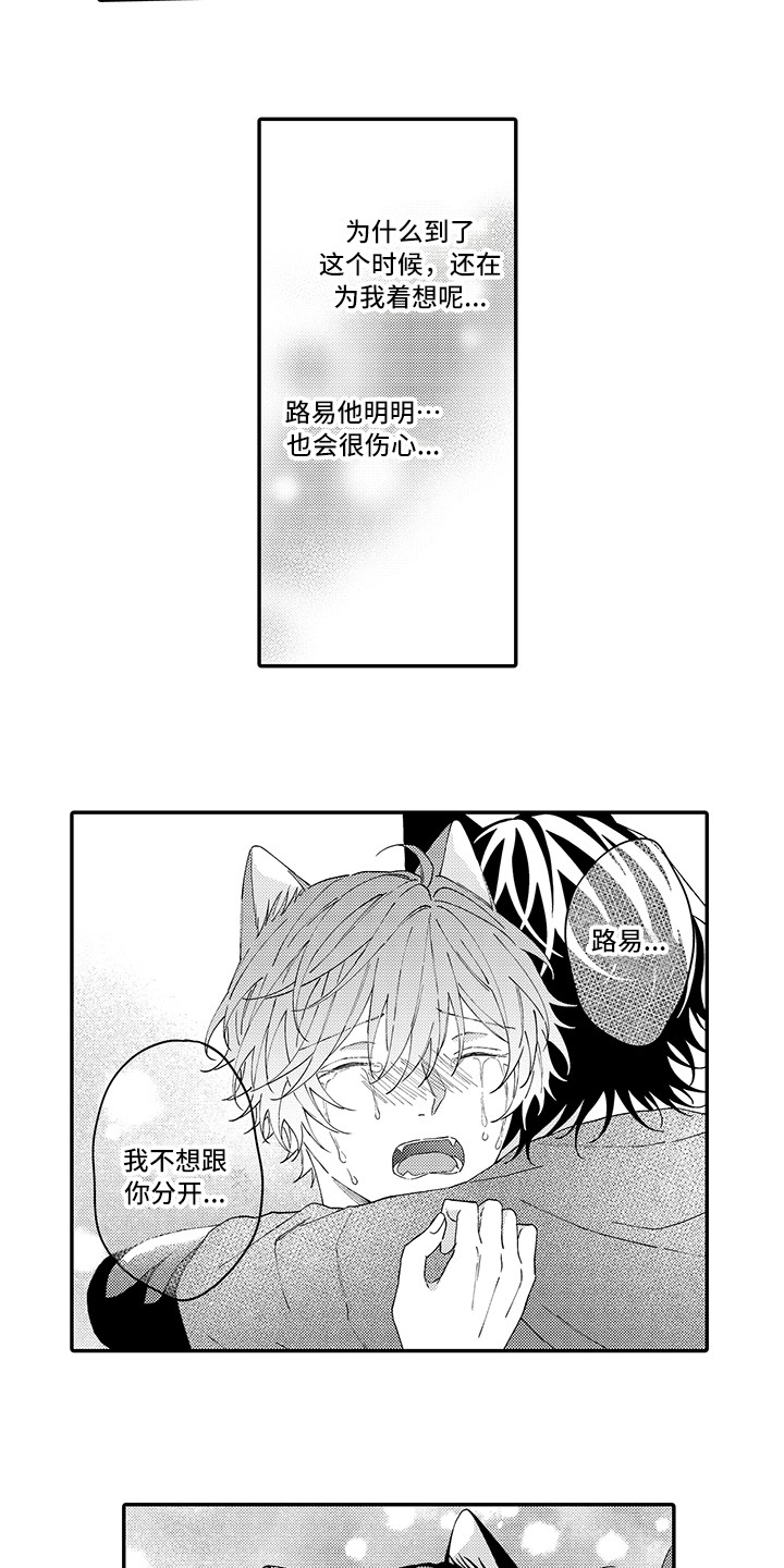 《猫咪之家》第16章私奔 第6页