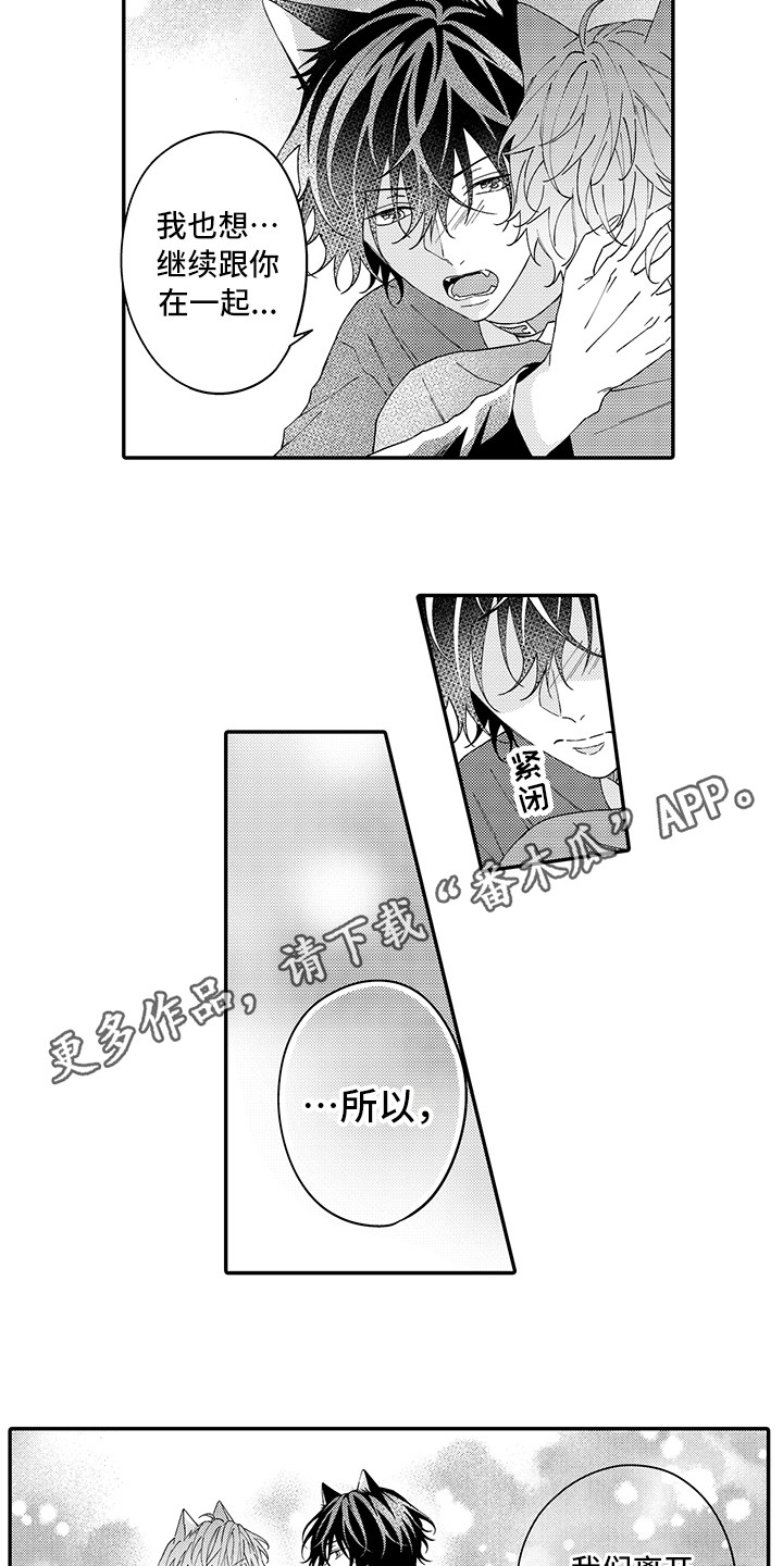 《猫咪之家》第16章私奔 第7页