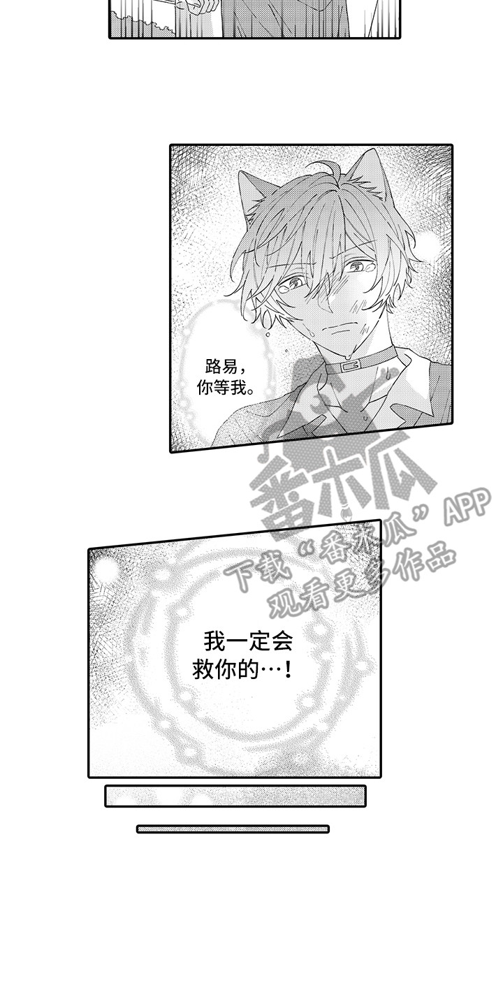 《猫咪之家》第19章急切 第11页