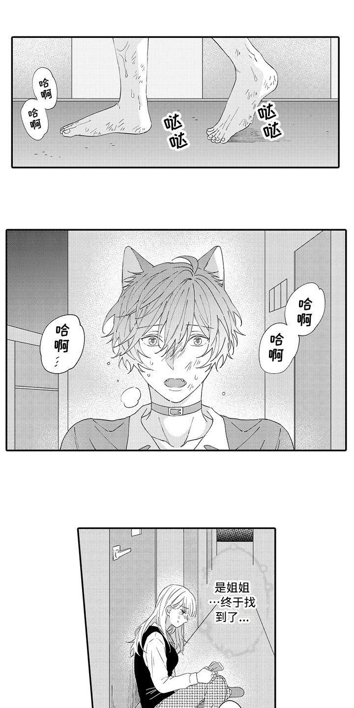 《猫咪之家》第19章急切 第12页
