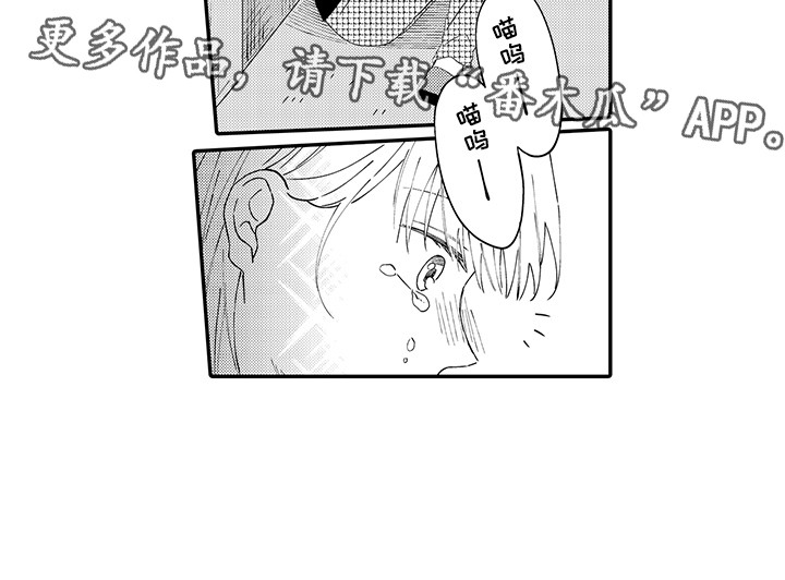 《猫咪之家》第19章急切 第13页