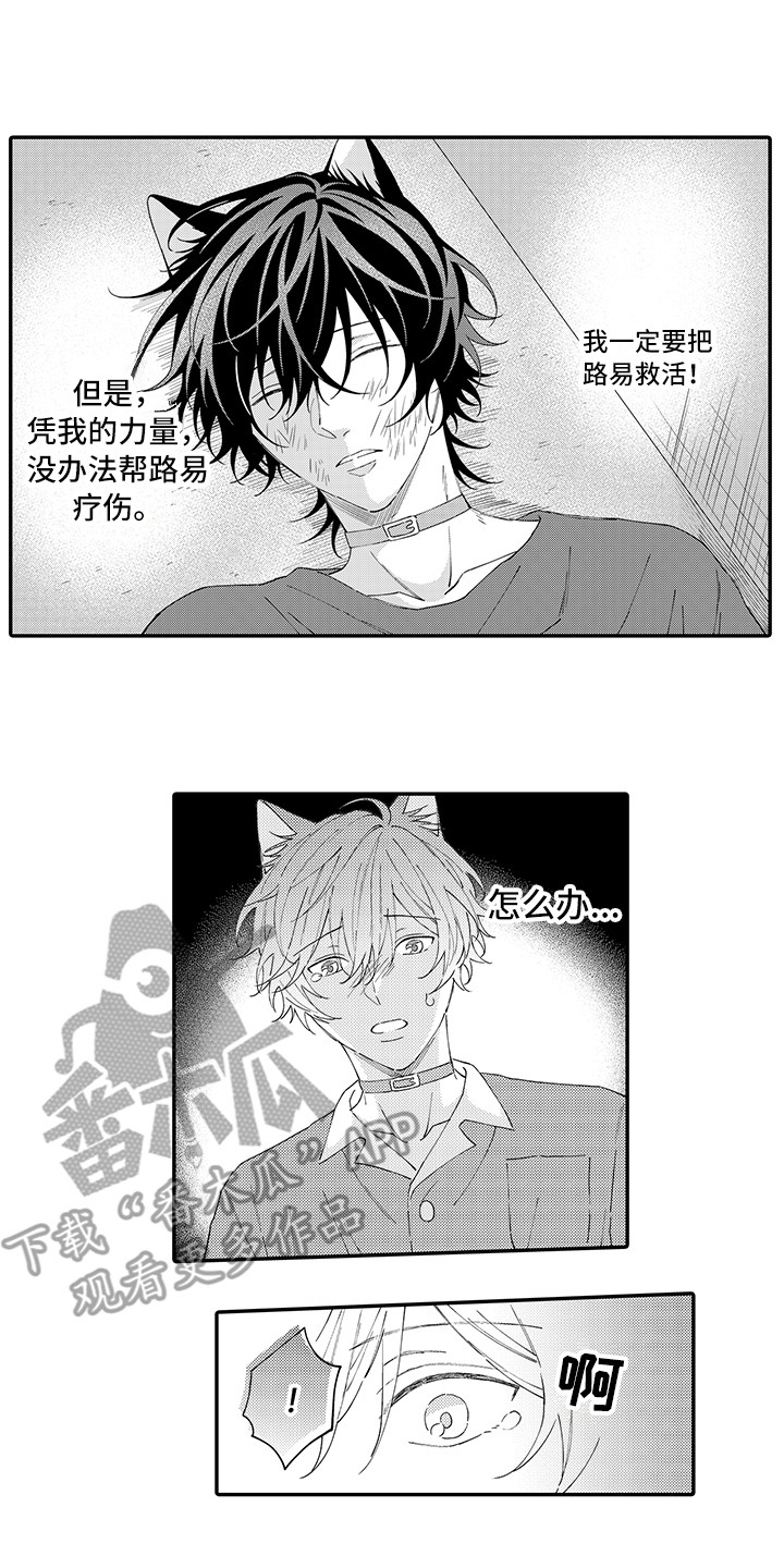 《猫咪之家》第19章急切 第1页