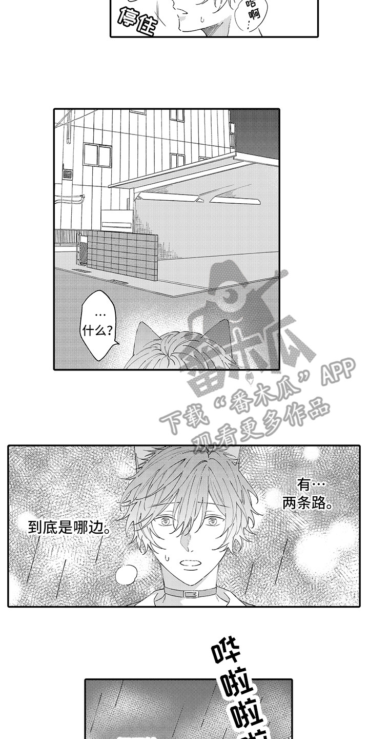 《猫咪之家》第19章急切 第3页