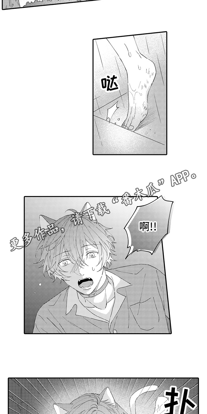 《猫咪之家》第19章急切 第5页
