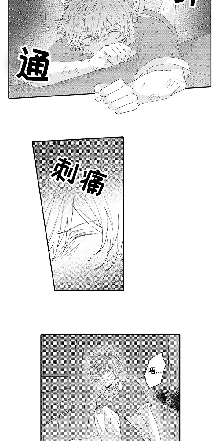 《猫咪之家》第19章急切 第6页